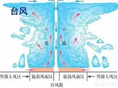 今年第5号、6号台风几乎同时生成，台风形成的原因是什么？