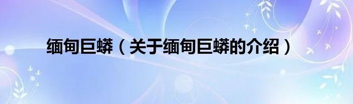 缅甸巨蟒（关于缅甸巨蟒的介绍）