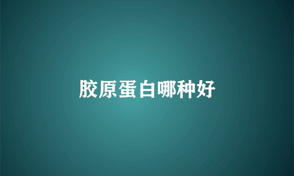 胶原蛋白哪种好