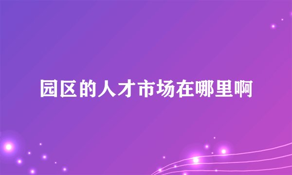 园区的人才市场在哪里啊