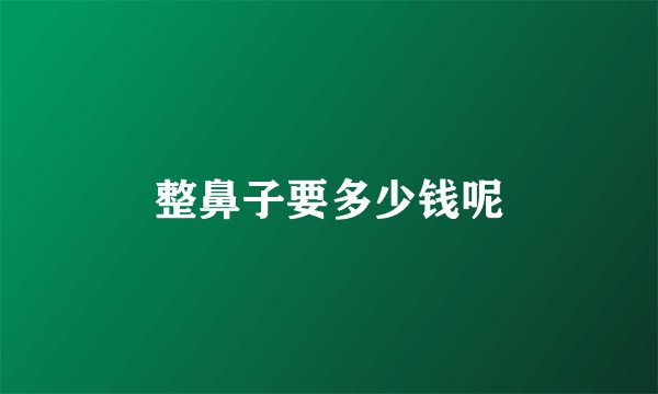 整鼻子要多少钱呢