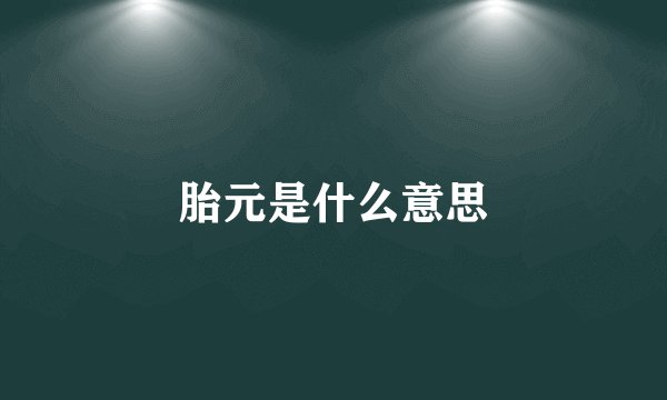 胎元是什么意思