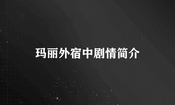 玛丽外宿中剧情简介