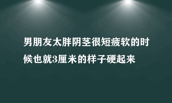 男朋友太胖阴茎很短疲软的时候也就3厘米的样子硬起来
