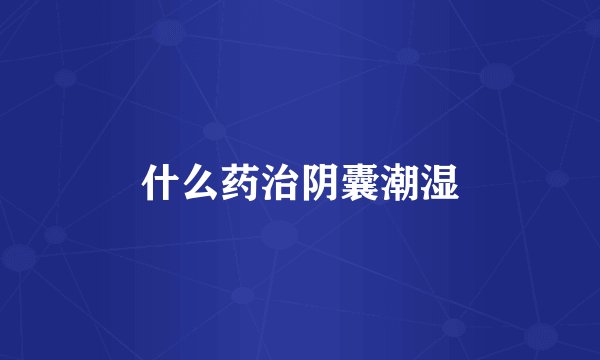 什么药治阴囊潮湿