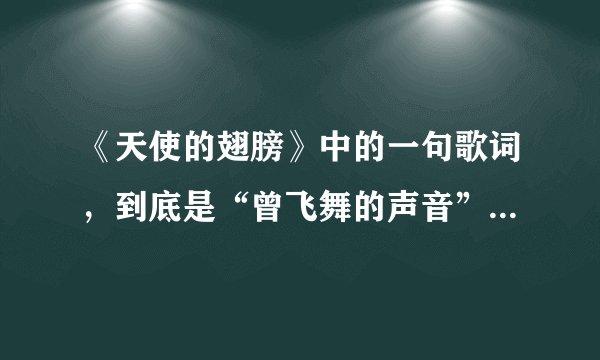 《天使的翅膀》中的一句歌词，到底是“曾飞舞的声音”还是“飞舞的身影”？？