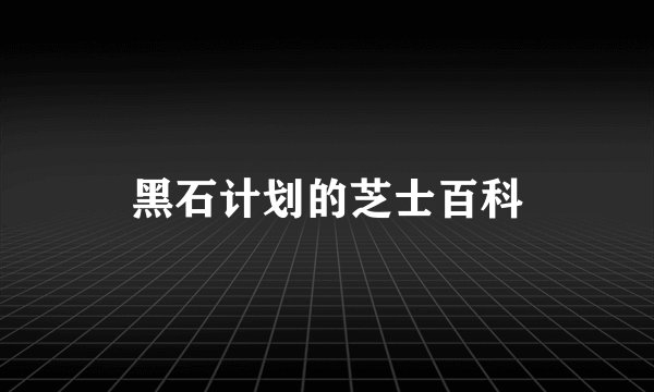 黑石计划的芝士百科