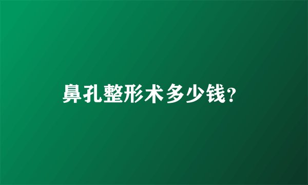 鼻孔整形术多少钱？