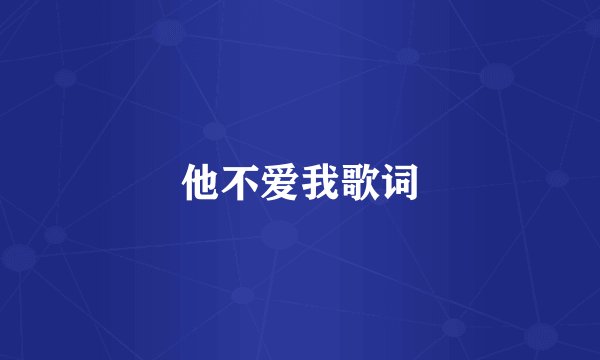 他不爱我歌词