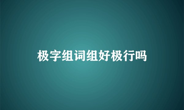 极字组词组好极行吗