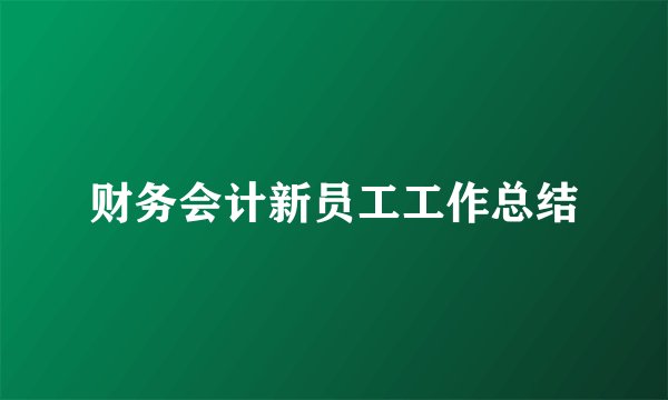 财务会计新员工工作总结