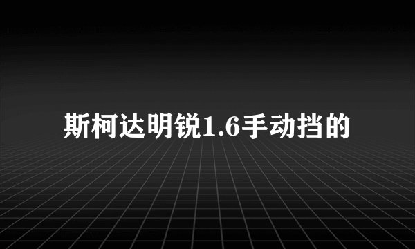 斯柯达明锐1.6手动挡的