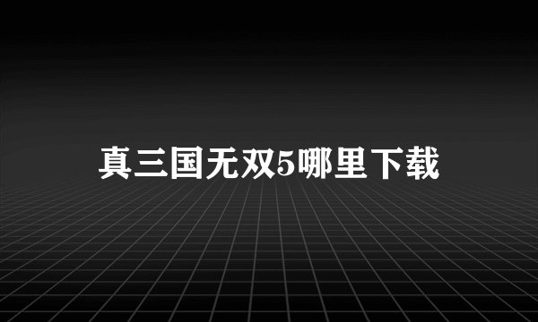 真三国无双5哪里下载