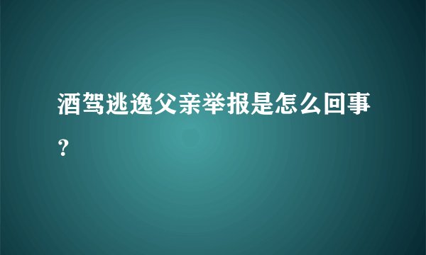 酒驾逃逸父亲举报是怎么回事？