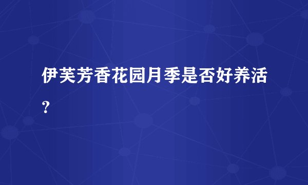 伊芙芳香花园月季是否好养活？