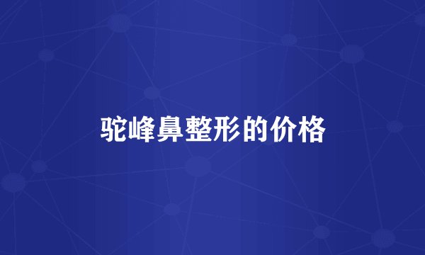 驼峰鼻整形的价格