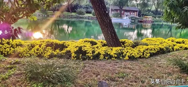 如何看待半藏森林前男友去世事件？