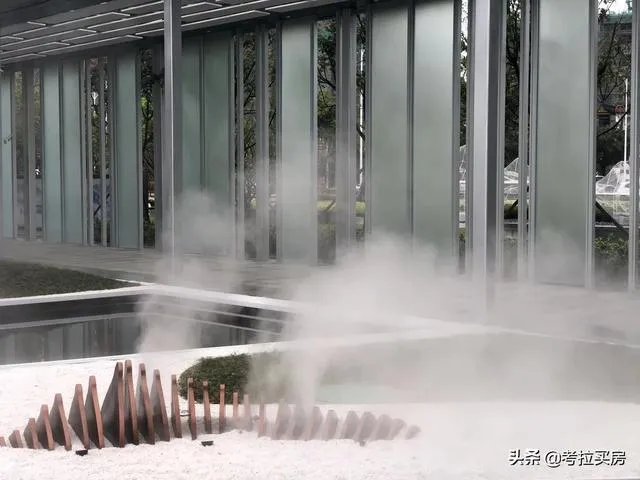 有谁可以帮助分析分析,惠州的中洲半岛城邦的房子特征麽?