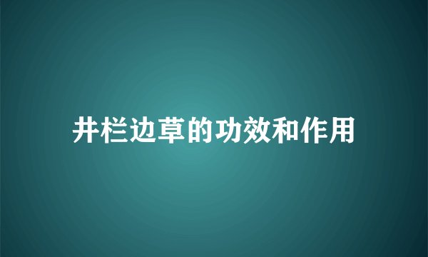 井栏边草的功效和作用