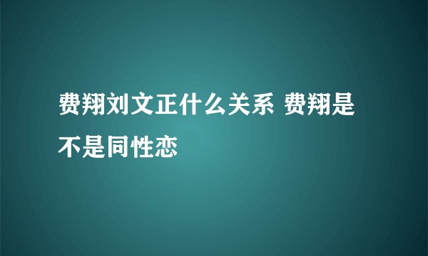 费翔刘文正什么关系 费翔是不是同性恋