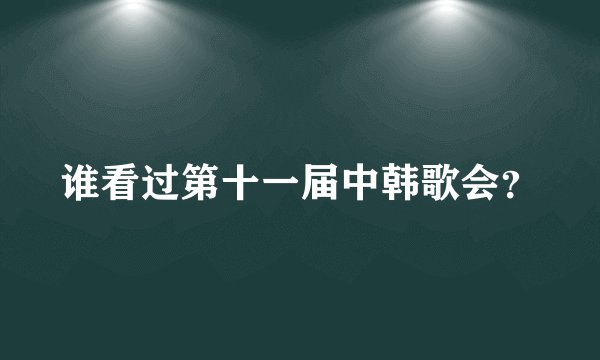 谁看过第十一届中韩歌会？