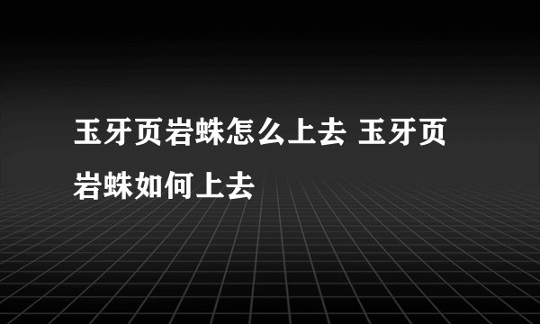 玉牙页岩蛛怎么上去 玉牙页岩蛛如何上去