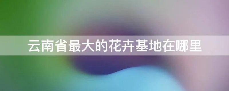 云南省最大的花卉基地在哪里