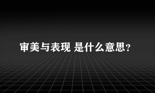 审美与表现 是什么意思？