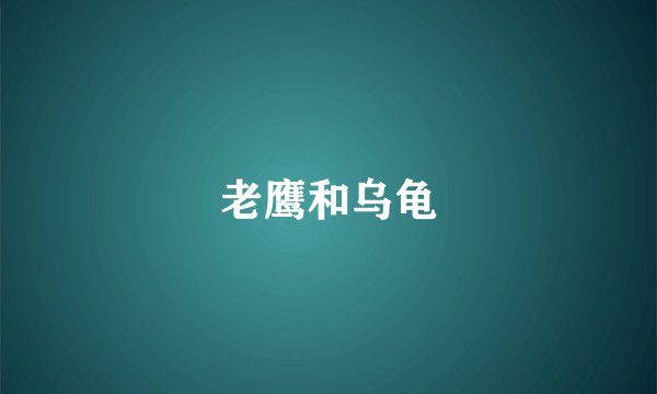 老鹰和乌龟