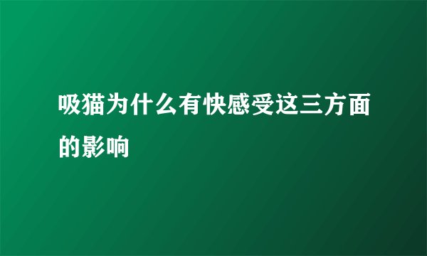 吸猫为什么有快感受这三方面的影响