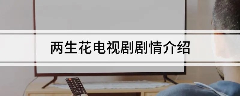 两生花电视剧剧情介绍