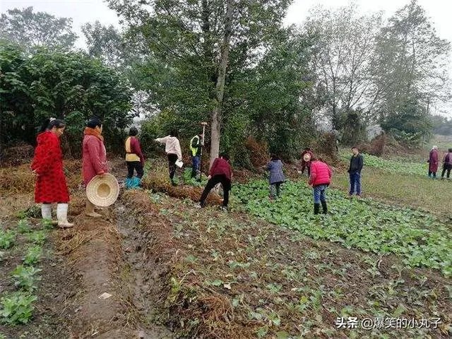 怎么用土法丈量不规则的田土面积?