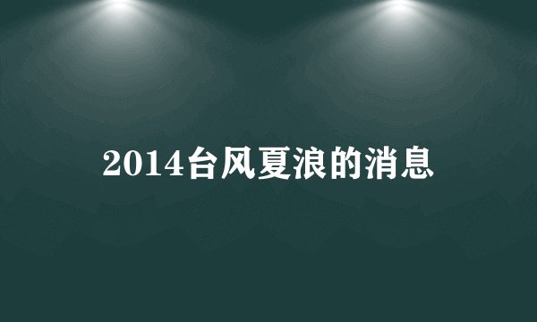 2014台风夏浪的消息