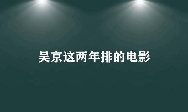 吴京这两年排的电影