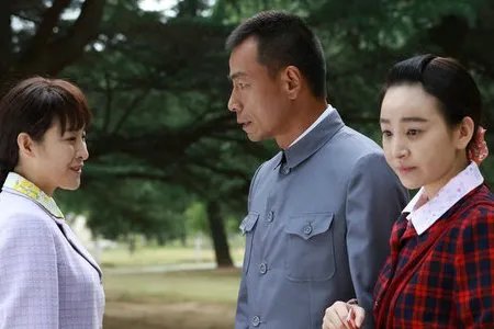 养母的花样年华演员介绍有哪些?