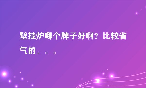 壁挂炉哪个牌子好啊？比较省气的。。。