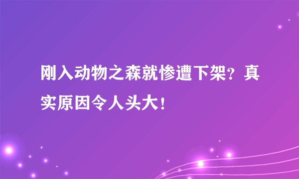 刚入动物之森就惨遭下架？真实原因令人头大！