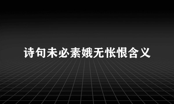 诗句未必素娥无怅恨含义