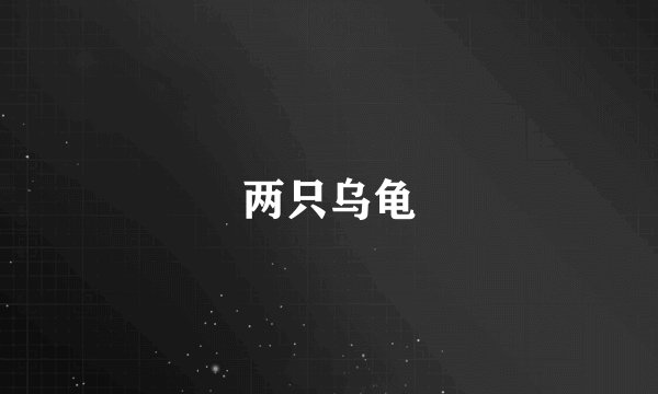 两只乌龟