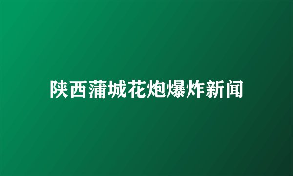 陕西蒲城花炮爆炸新闻