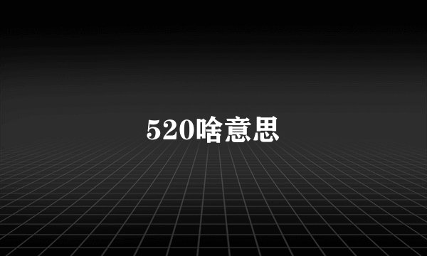 520啥意思