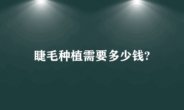 睫毛种植需要多少钱?