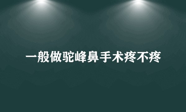 一般做驼峰鼻手术疼不疼