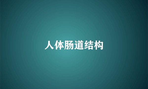 人体肠道结构