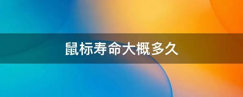 鼠标寿命大概多久