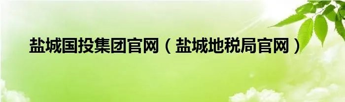 盐城国投集团官网（盐城地税局官网）