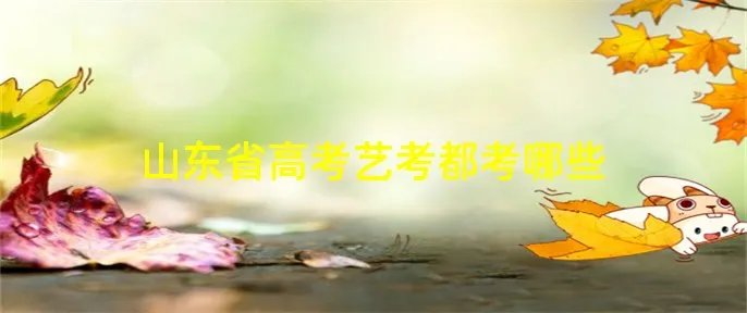 山东省高考艺考都考哪些