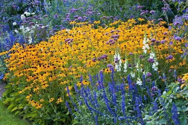 原创:花境按植物材料的分类及各自优缺点
