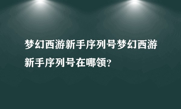 梦幻西游新手序列号梦幻西游新手序列号在哪领?