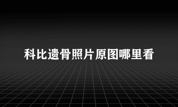 科比遗骨照片原图哪里看